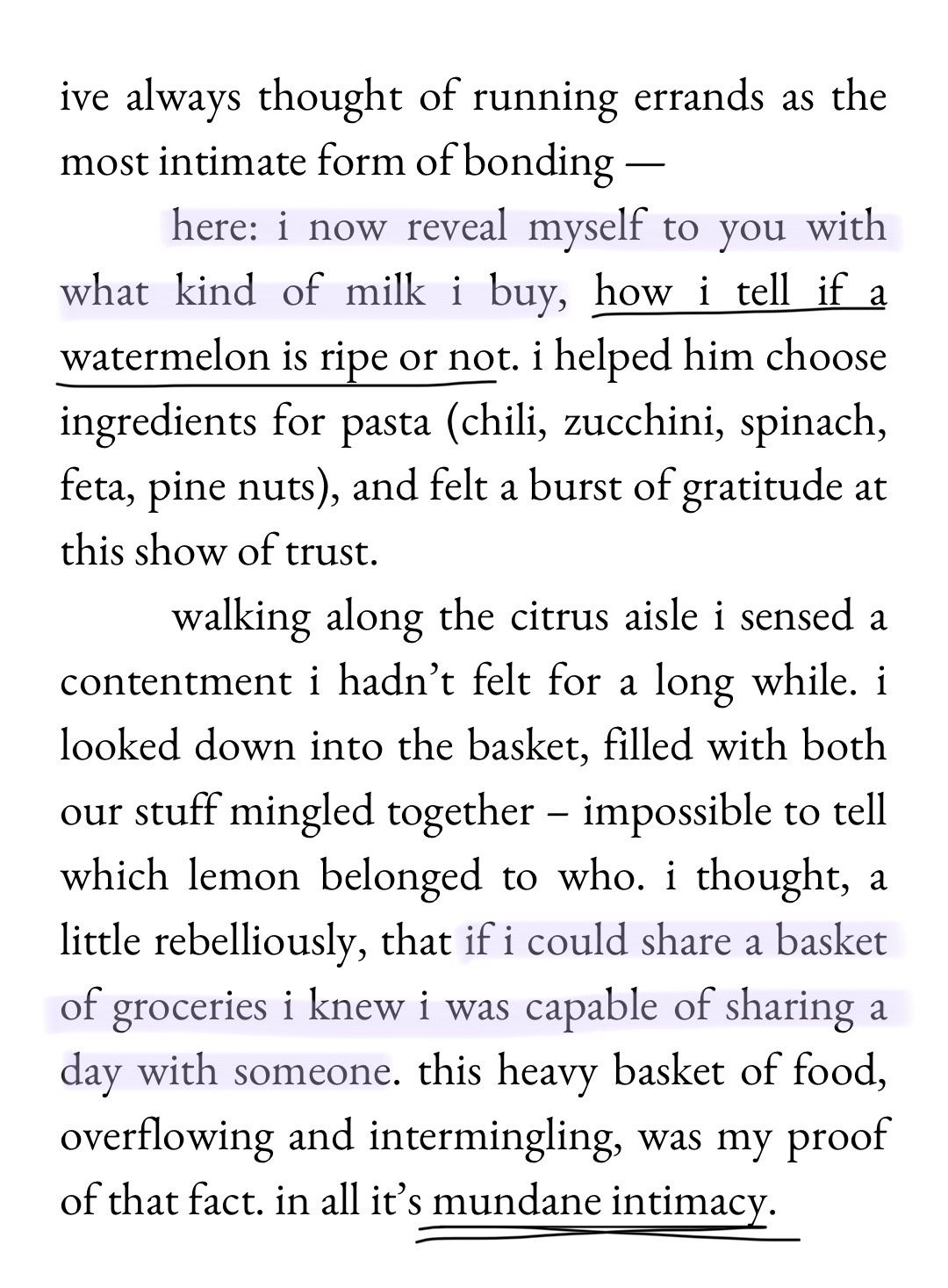 ive always thought of running errands as the most intimate form of bonding: here, i now reveal myself to you with what kind of milk i buy, how i tell if a watermelon is ripe or not. i helped him choose ingredients for pasta (chili, zucchini, spinach, feta, pine nuts), and felt a burst of gratitude at this show of trust. walking along the citrus aisle i sensed a contentment i hadn’t felt for a long while. i looked down into the basket, filled with both our stuff mingled together — impossible to tell which lemon belonged to who. i thought, a little rebelliously, that if i could share a basket of groceries i knew i was capable of sharing a day with someone. this heavy basket of food, overflowing and intermingling, was my proof of that fact. all in it's mundane intimacy.